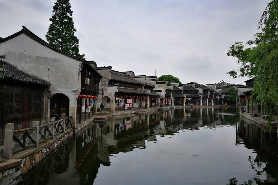 植物大战僵尸12