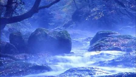 燃烧吧大脑免广告最新版